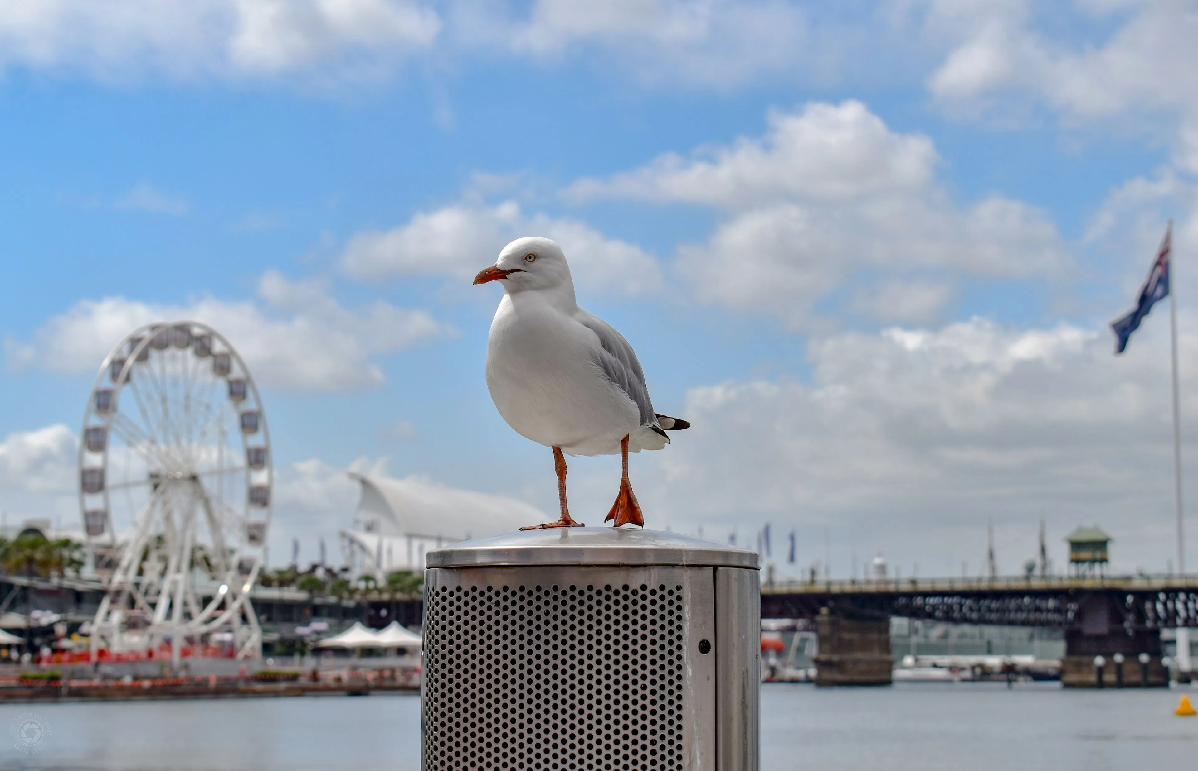 Darling Harbour