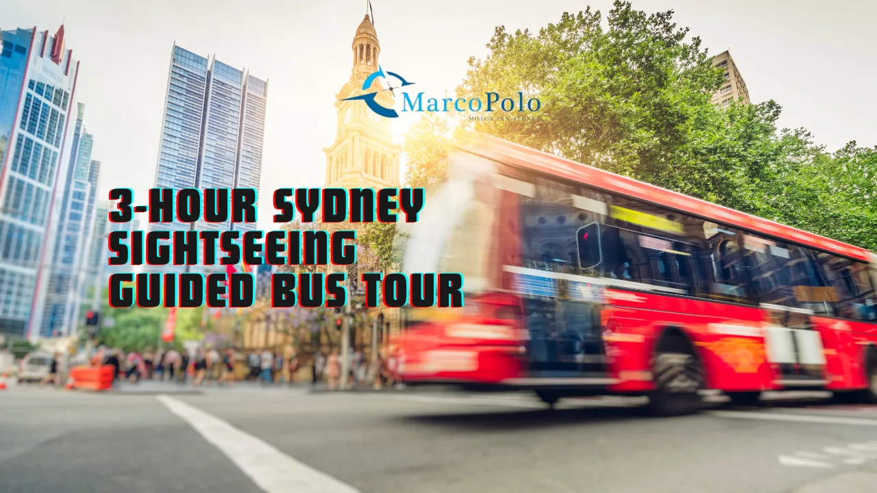 Sydney 3-Hour Bus Tour