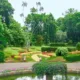 Sydney Garden